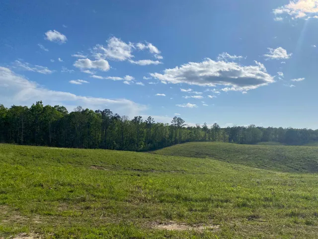 a view of an ocean and beach