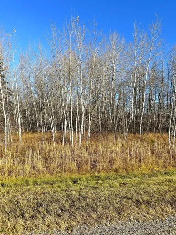 $19,950 | 36615 County Road 13, Salol, MN 56756