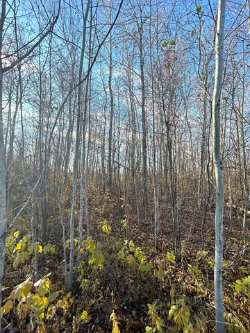 $19,950 | 36615 County Road 13, Salol, MN 56756