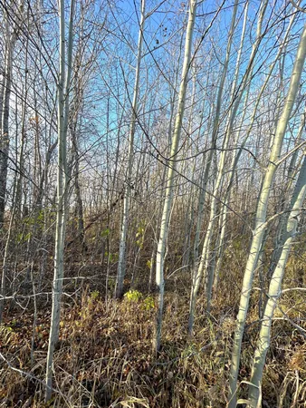 $19,950 | 36615 County Road 13, Salol, MN 56756