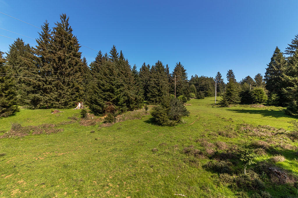 1255 Alder Grove Road Arcata, CA 95521 - Photo 66 of 72