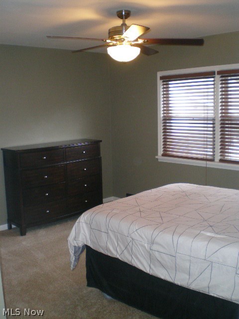 263 Massillon Road Akron, OH 44312 - Photo 9 of 20