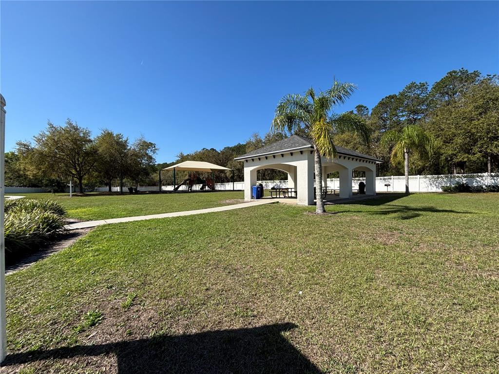 5128 Hartwell Loop Land O' Lakes, FL 34638 - Photo 39 of 43