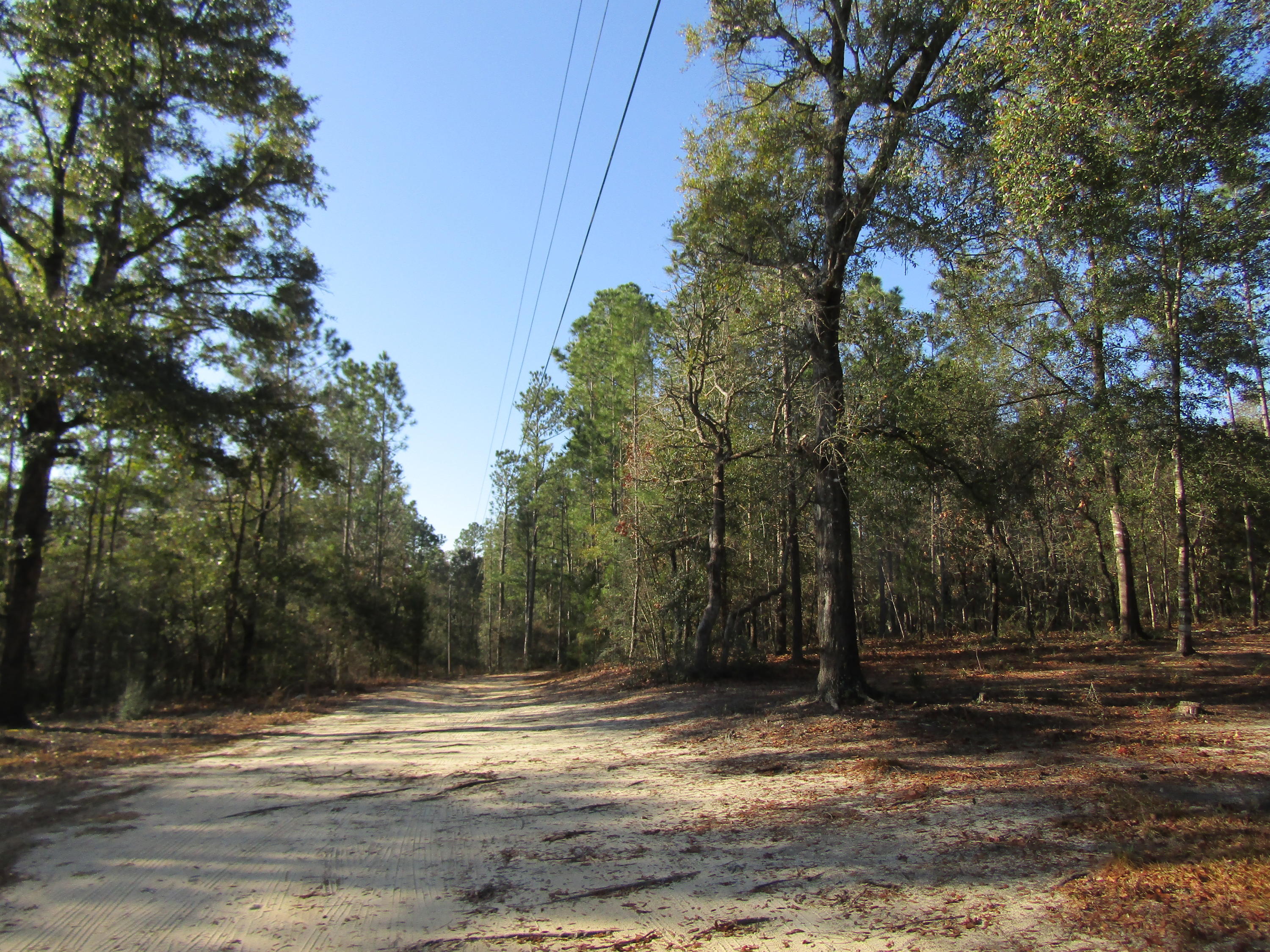 35 Glasgow Road DeFuniak Springs, FL 32433 - Photo 22 of 39 front road approaching home