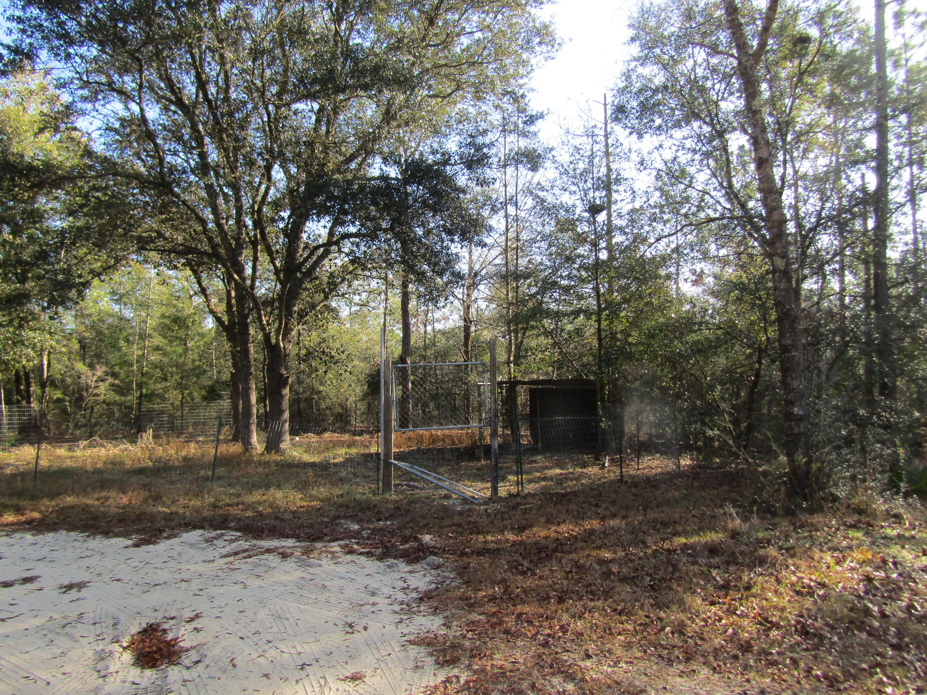35 Glasgow Road DeFuniak Springs, FL 32433 - Photo 23 of 39 Storage Shed