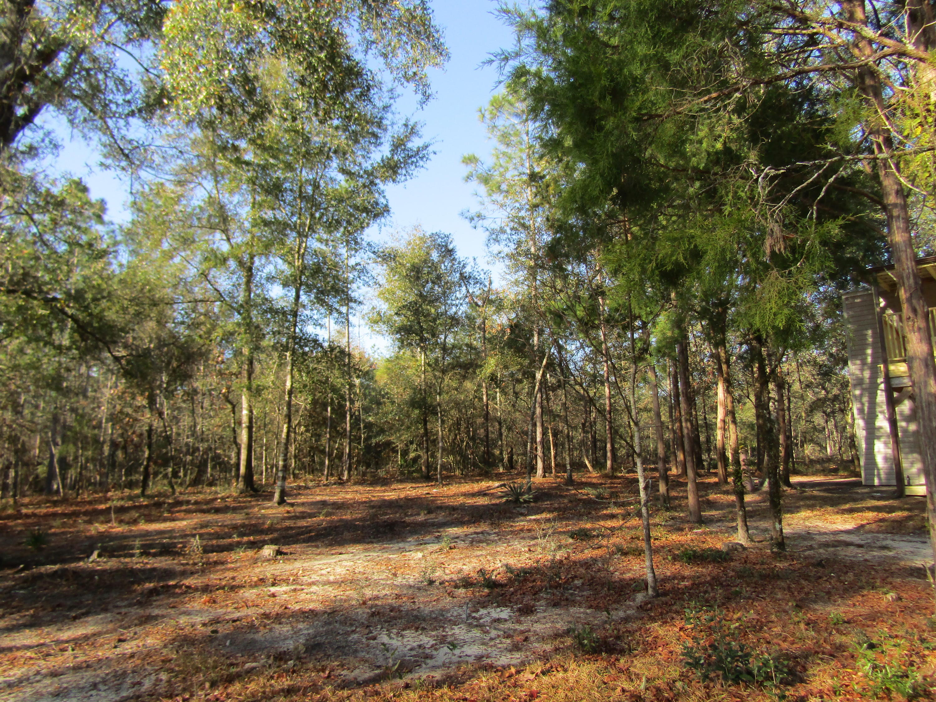 35 Glasgow Road DeFuniak Springs, FL 32433 - Photo 24 of 39 front yard