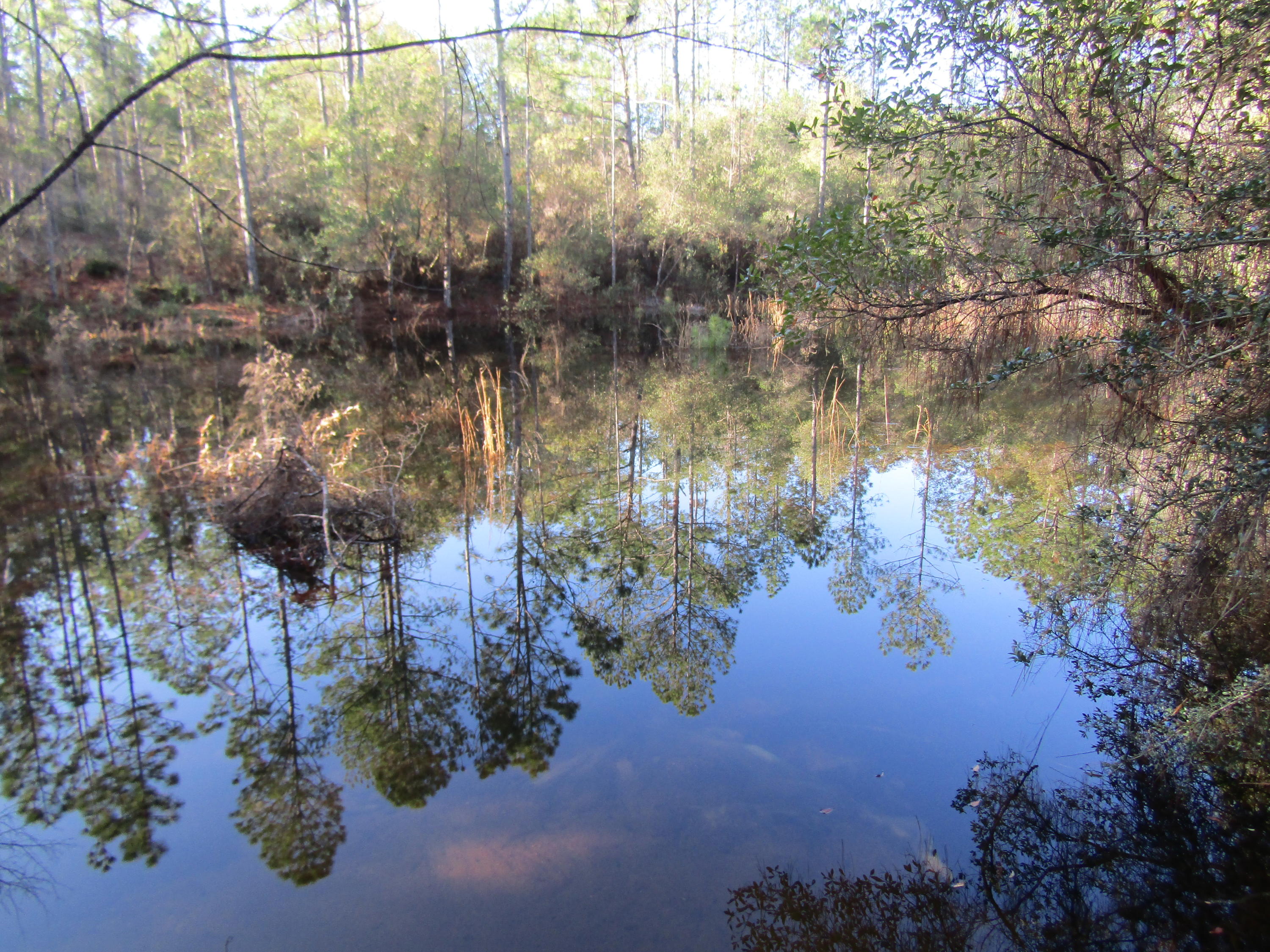 35 Glasgow Road DeFuniak Springs, FL 32433 - Photo 3 of 39 Pond