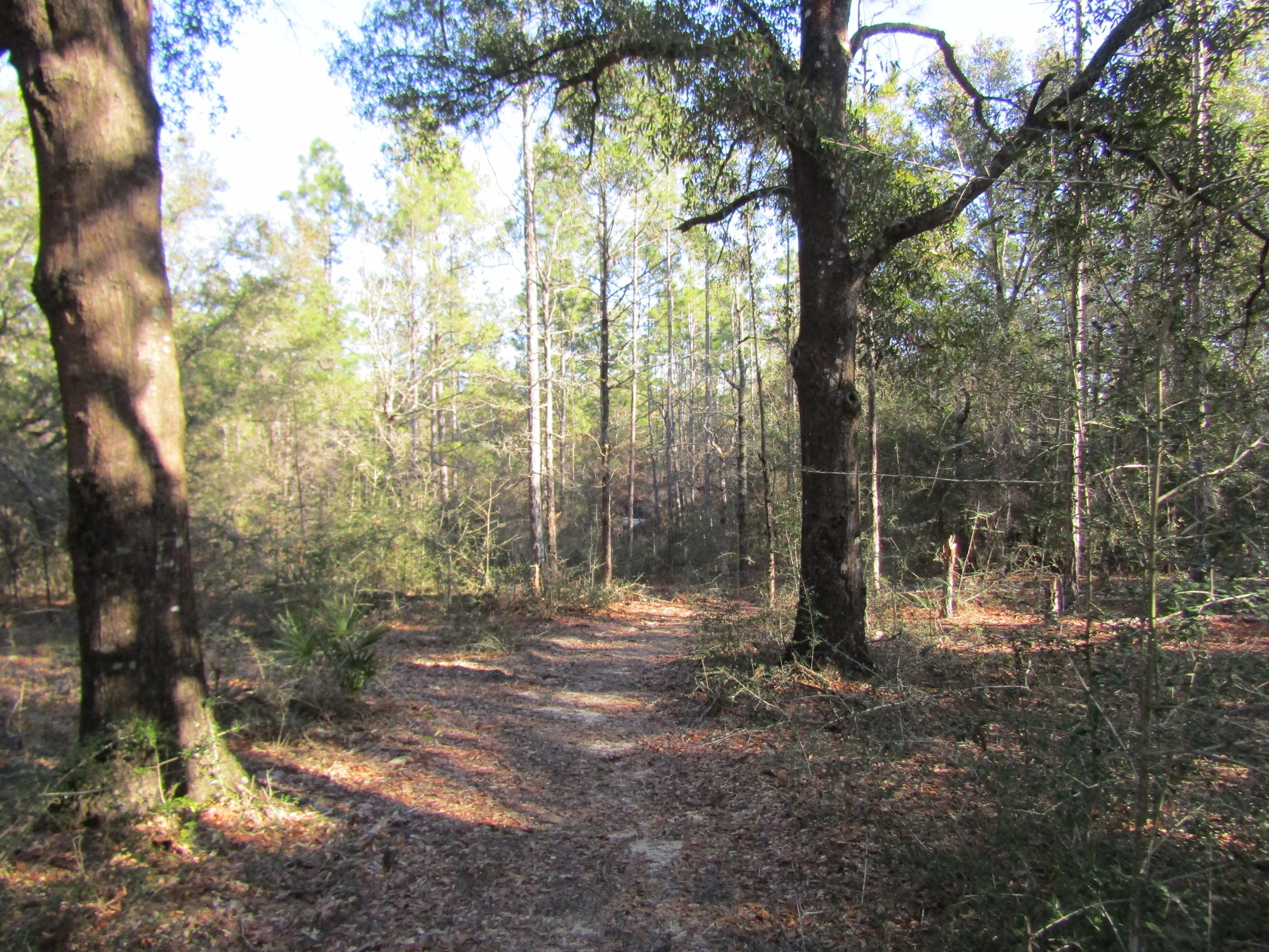 35 Glasgow Road DeFuniak Springs, FL 32433 - Photo 33 of 39 IMG_1540