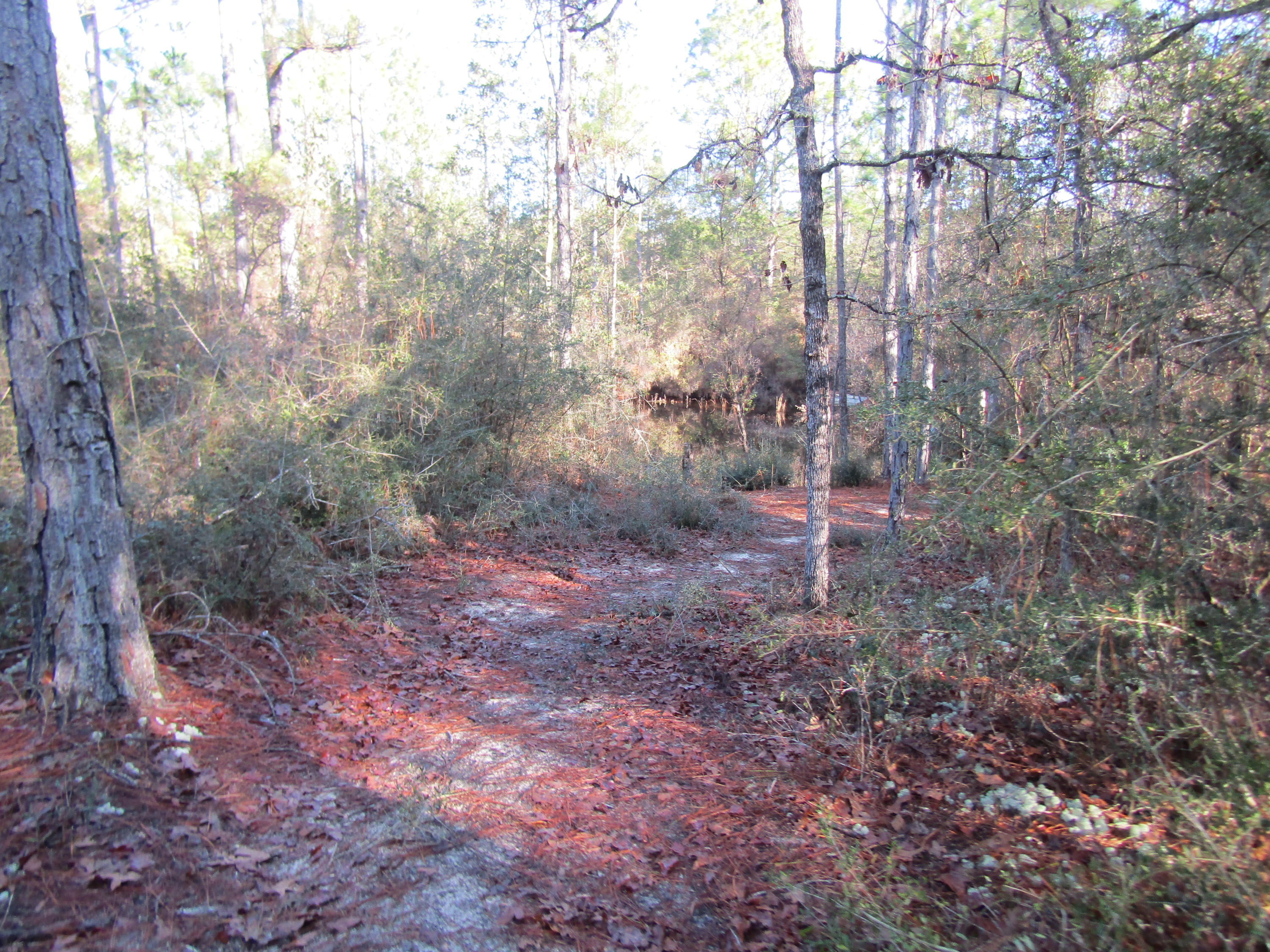 35 Glasgow Road DeFuniak Springs, FL 32433 - Photo 34 of 39 IMG_1541