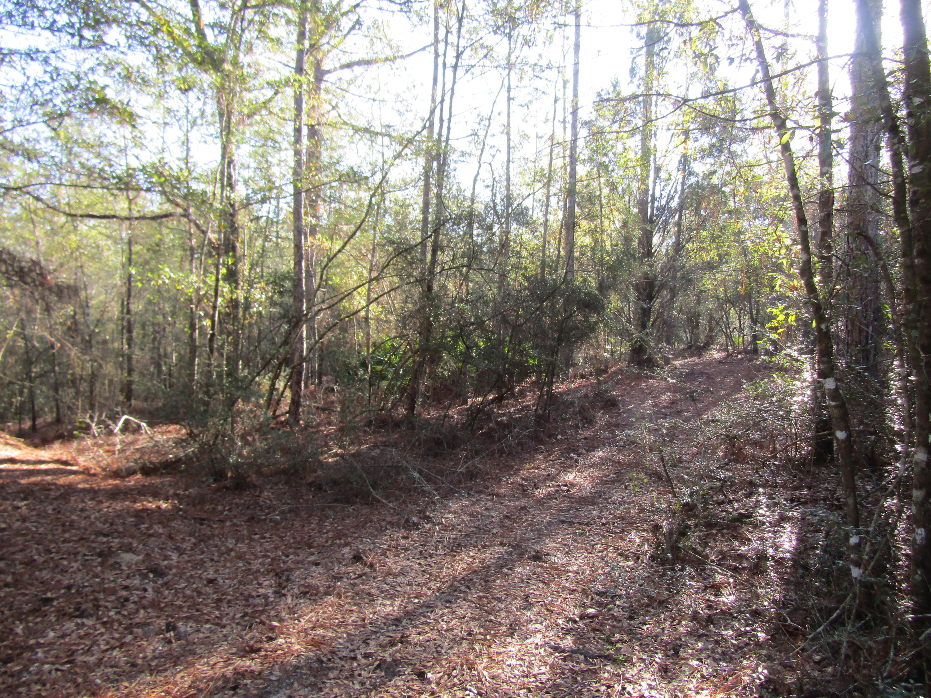 35 Glasgow Road DeFuniak Springs, FL 32433 - Photo 36 of 39 IMG_1544