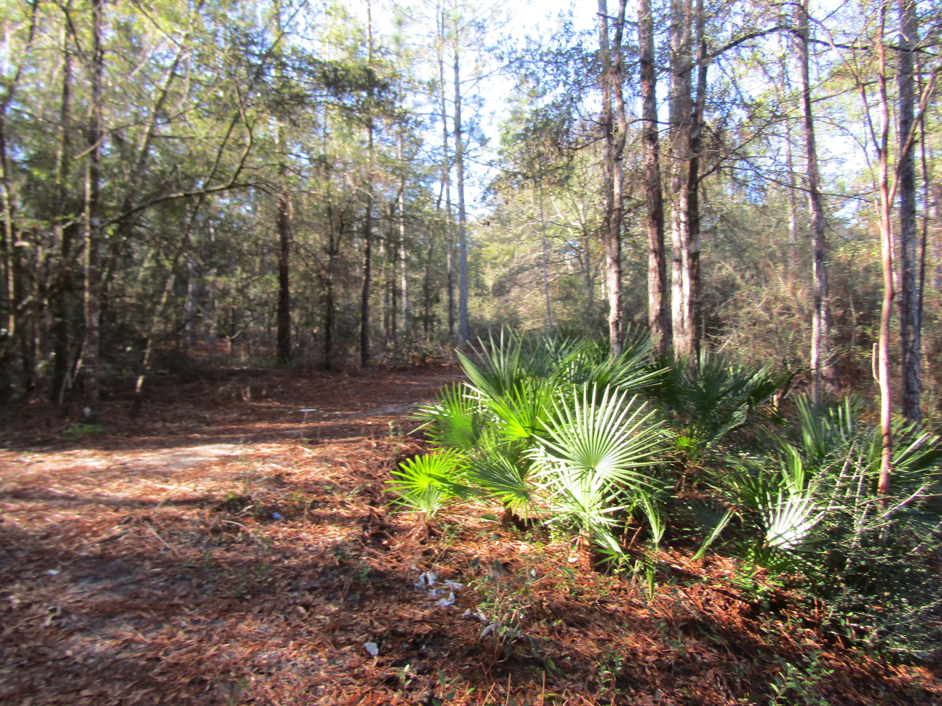 35 Glasgow Road DeFuniak Springs, FL 32433 - Photo 39 of 39 IMG_1552
