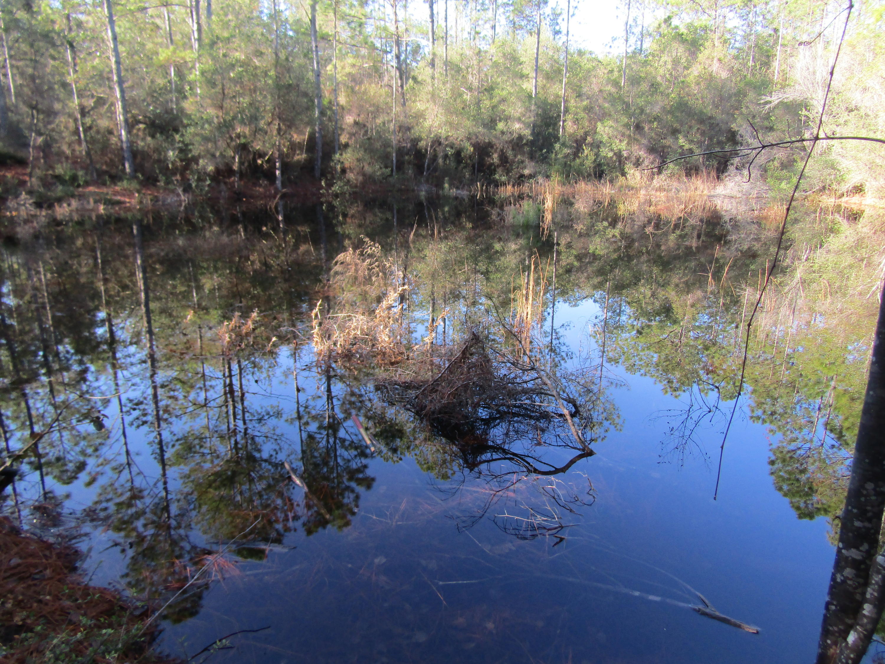 35 Glasgow Road DeFuniak Springs, FL 32433 - Photo 5 of 39 Pond