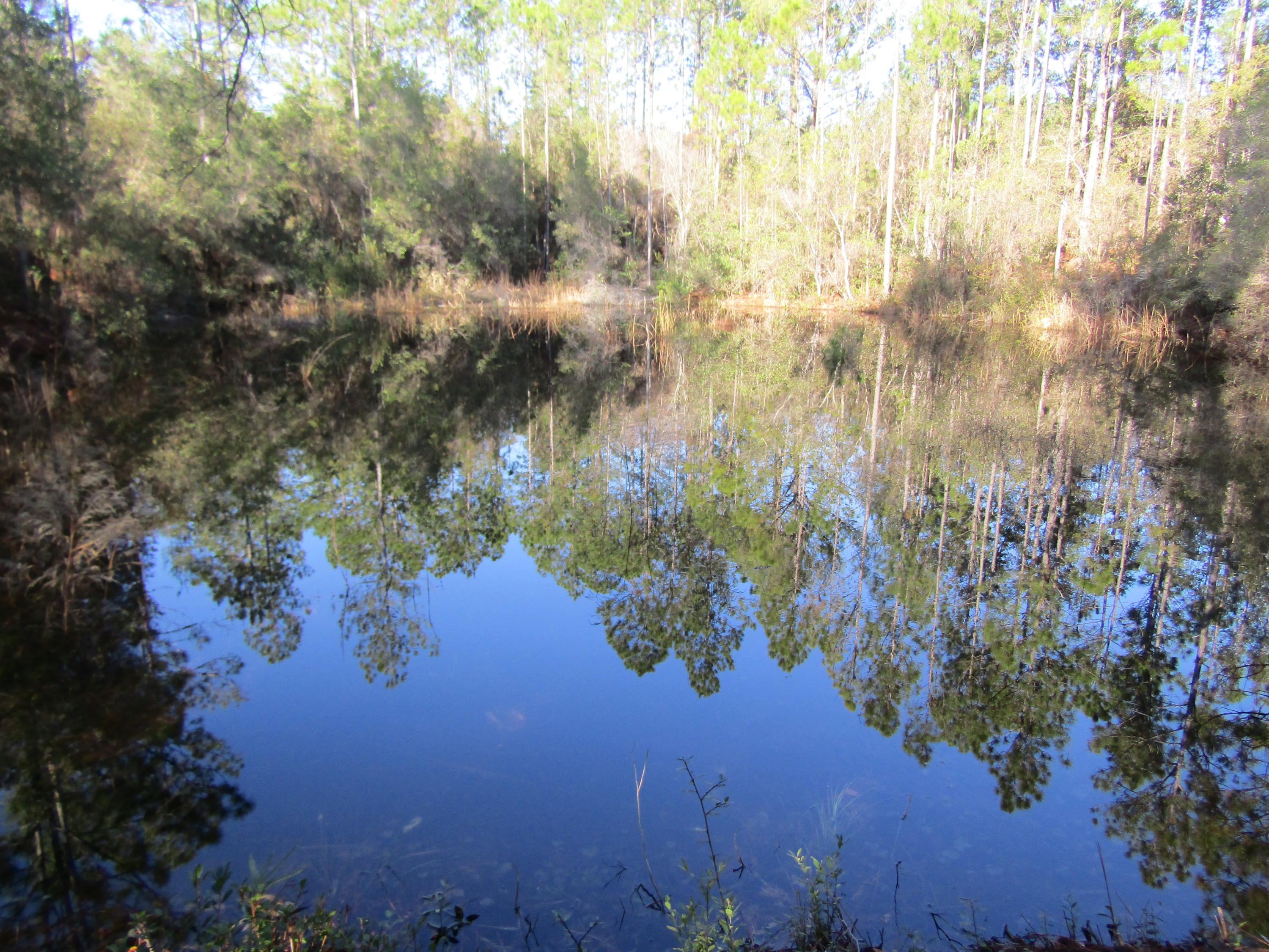 35 Glasgow Road DeFuniak Springs, FL 32433 - Photo 6 of 39 pond