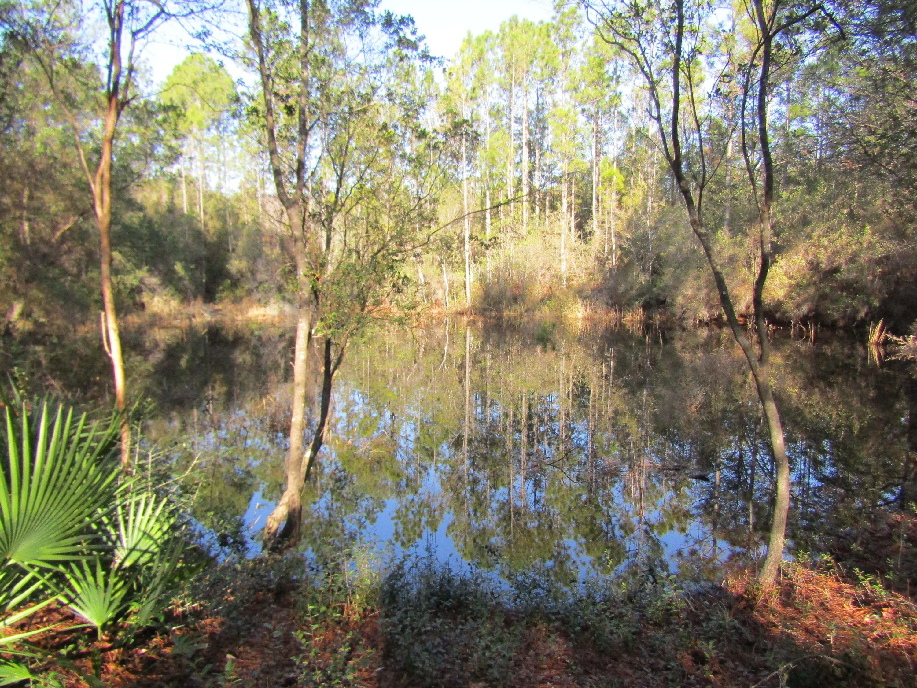 35 Glasgow Road DeFuniak Springs, FL 32433 - Photo 7 of 39 side of pond