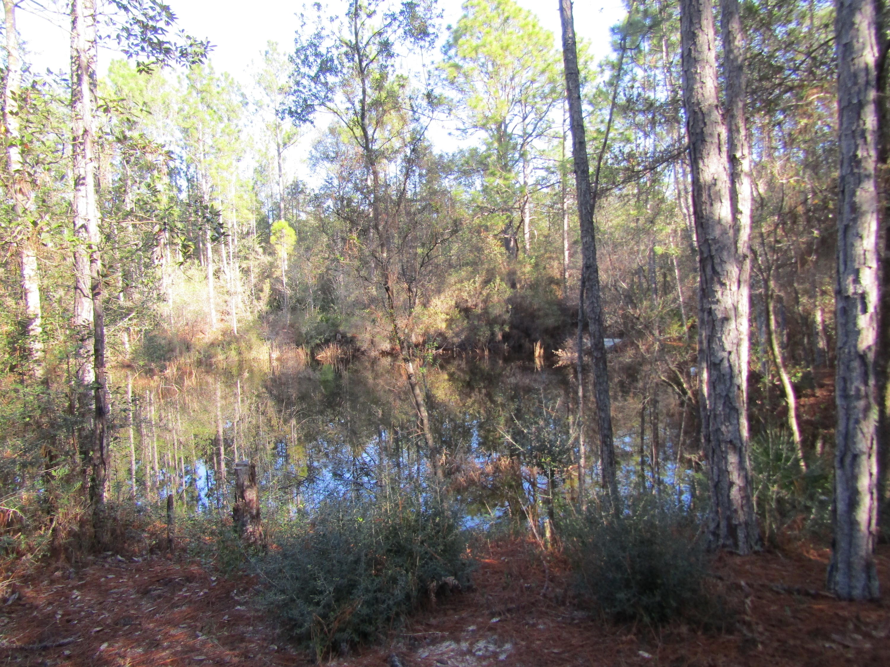 35 Glasgow Road DeFuniak Springs, FL 32433 - Photo 9 of 39 pond view