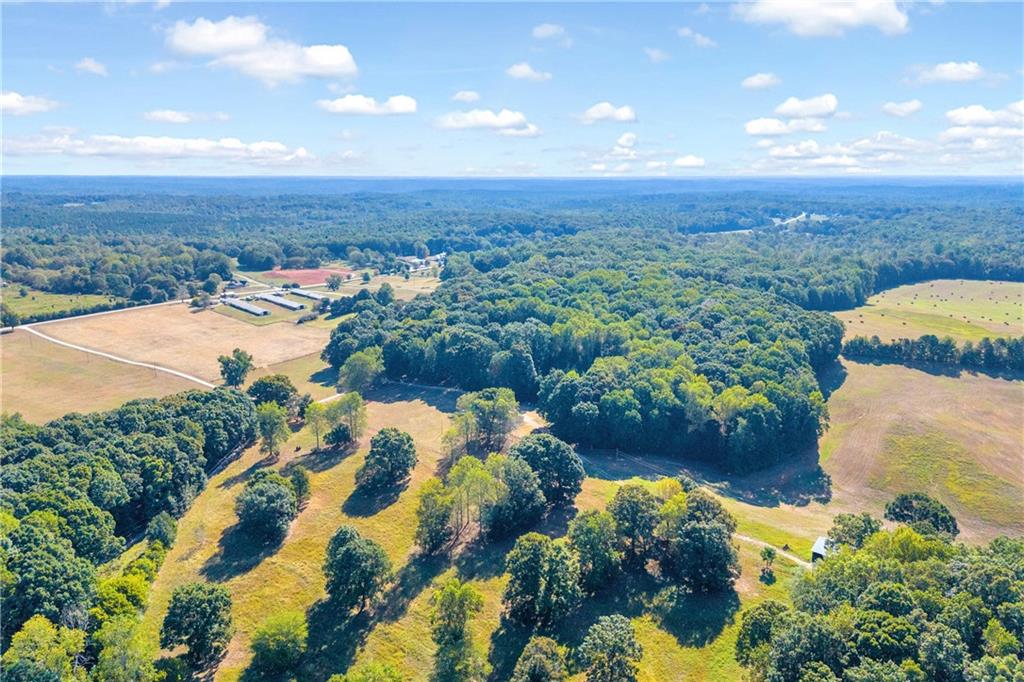 918 Brockton Loop Jefferson, GA 30549 - Photo 69 of 94