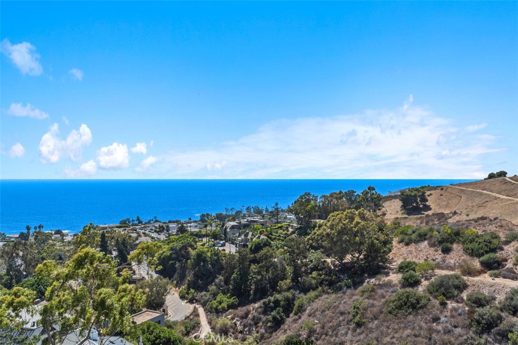 22691 Allview Terrace Laguna Beach, CA 92651 - Photo 23 of 51
