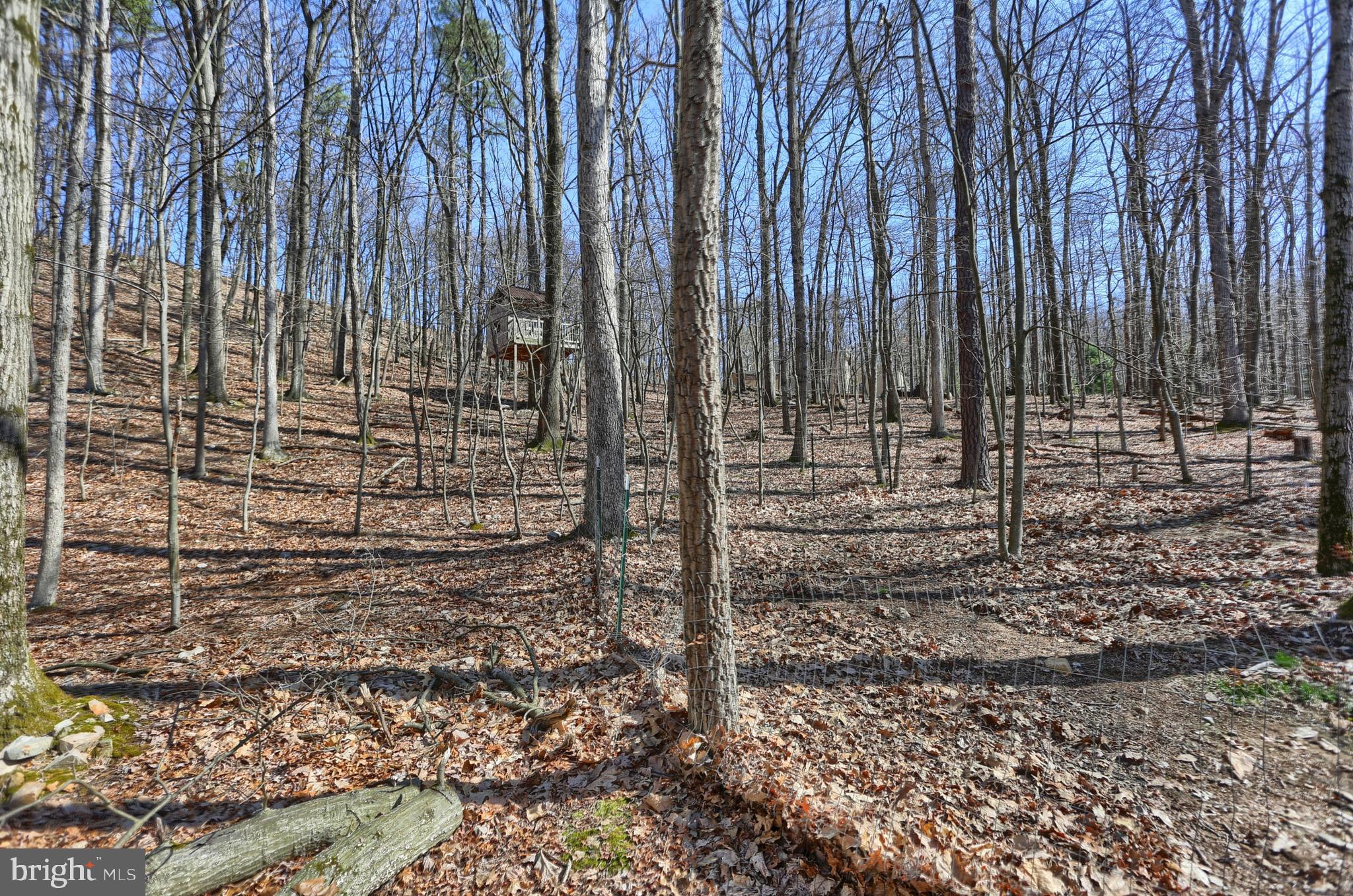 644 Spring Lane Boiling Springs, PA 17007 - Photo 33 of 35 Gallery Image 33