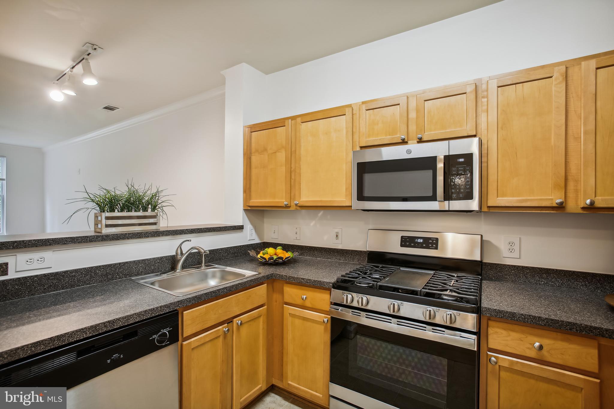 12000 Market Street, Unit 249 Reston, VA 20190 - Photo 6 of 58 Kitchen