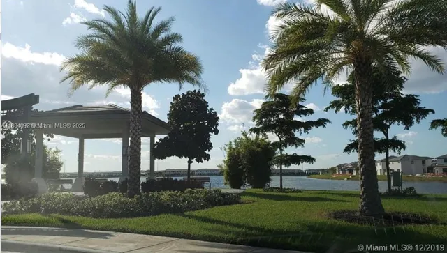 a view of a palm trees