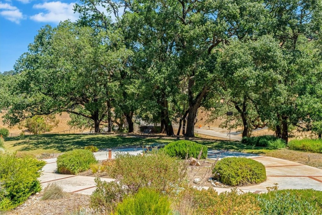 11555 Cenegal Road Atascadero, CA 93422 - Photo 5 of 57 a view of backyard with outdoor space