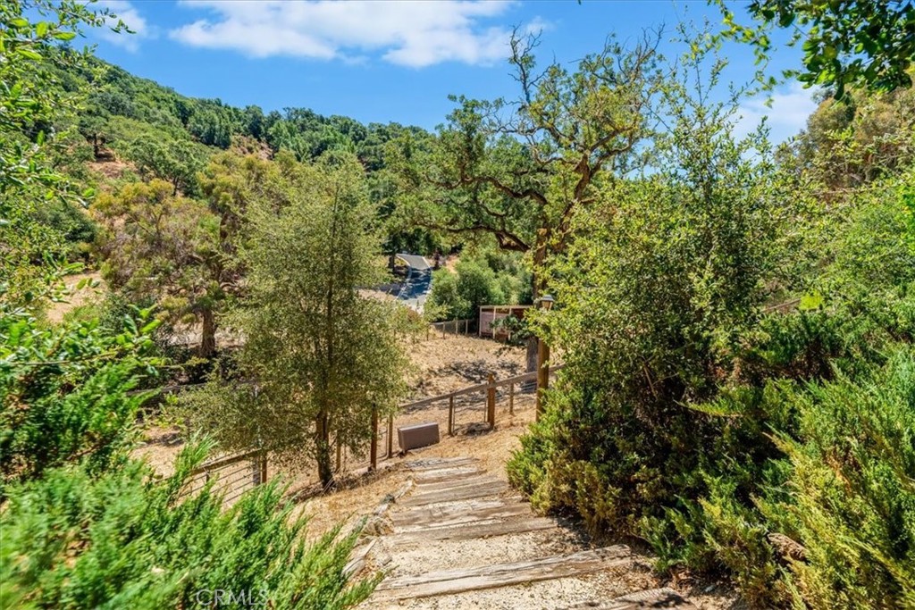 11555 Cenegal Road Atascadero, CA 93422 - Photo 52 of 57 a view of a yard with plants and large trees