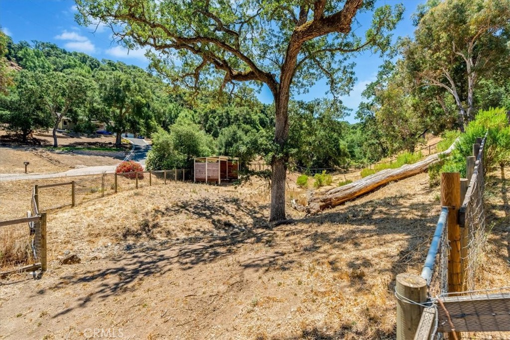 11555 Cenegal Road Atascadero, CA 93422 - Photo 53 of 57 a view of a yard with a tree