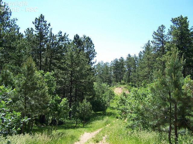 4369 Elati Road Larkspur, CO 80118 - Photo 1 of 16 Gallery Image 1