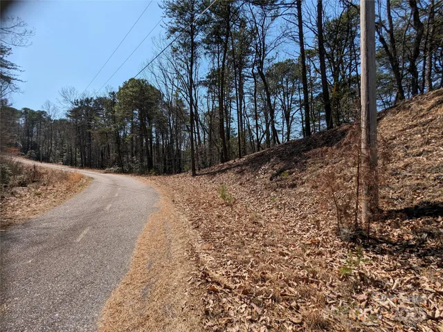 a view of a yard covered with snow in the background