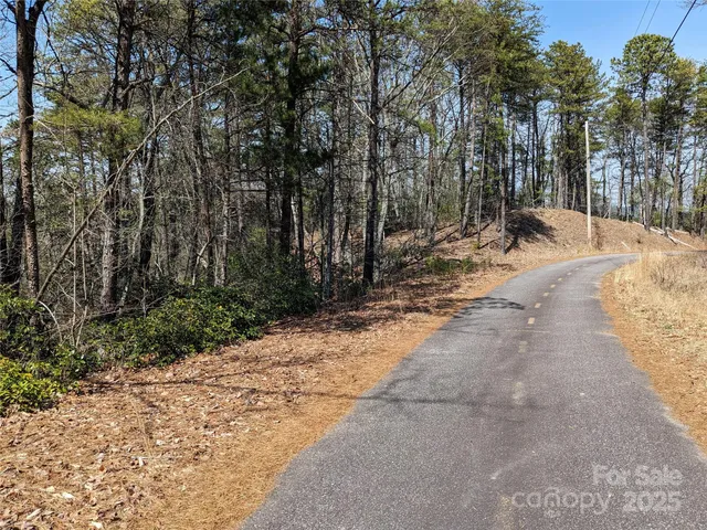 a view of backyard space with trees