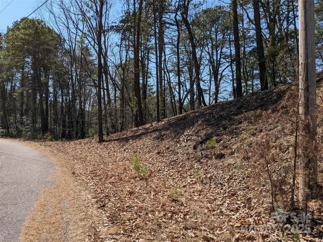 a view of a yard with trees