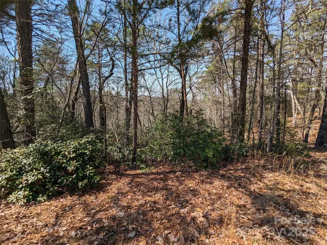 a big yard with lots of green space