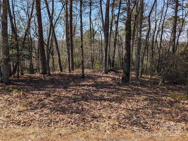 a view of backyard with green space