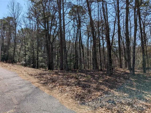 a view of a yard with large trees
