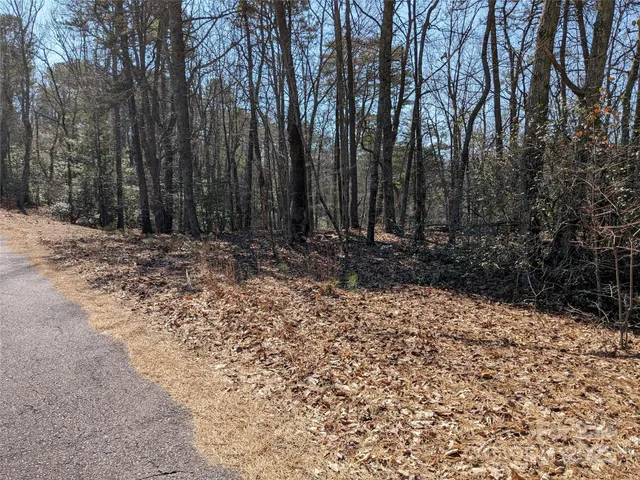 a wooden bench with trees in the background