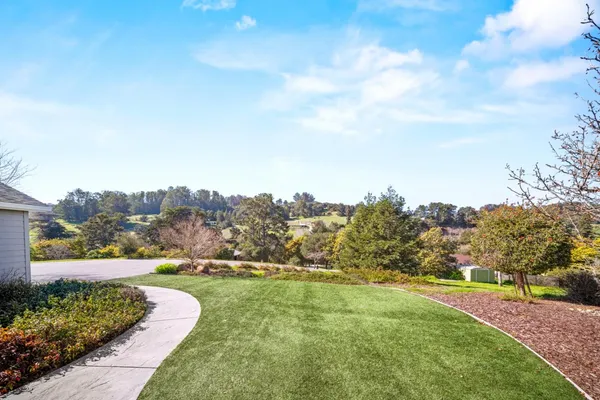 view of a garden