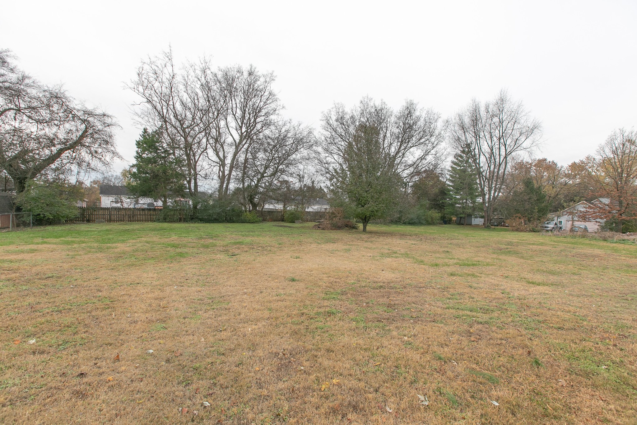 3385 Ridgefield Drive Murfreesboro, TN 37129 - Photo 22 of 25 a view of a yard with trees in the background