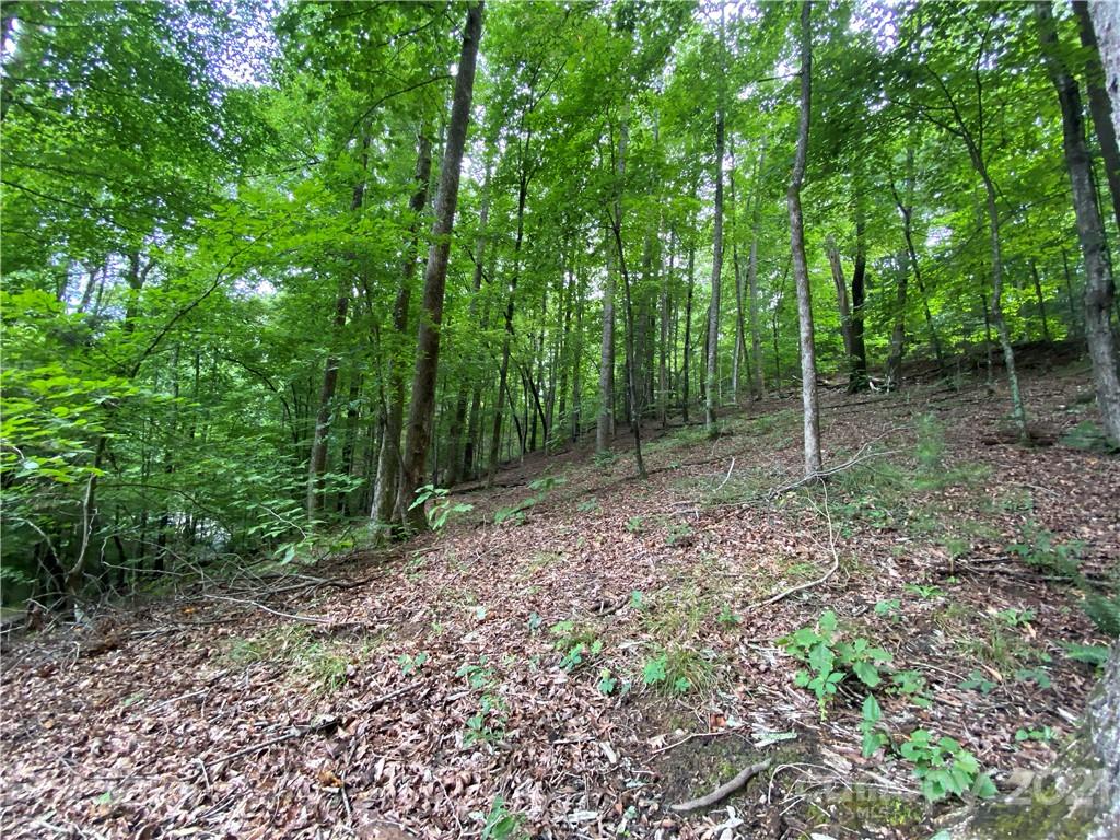 76 Chinquapin Road Lake Lure, NC 28746 - Photo 3 of 17 Gallery Image 3