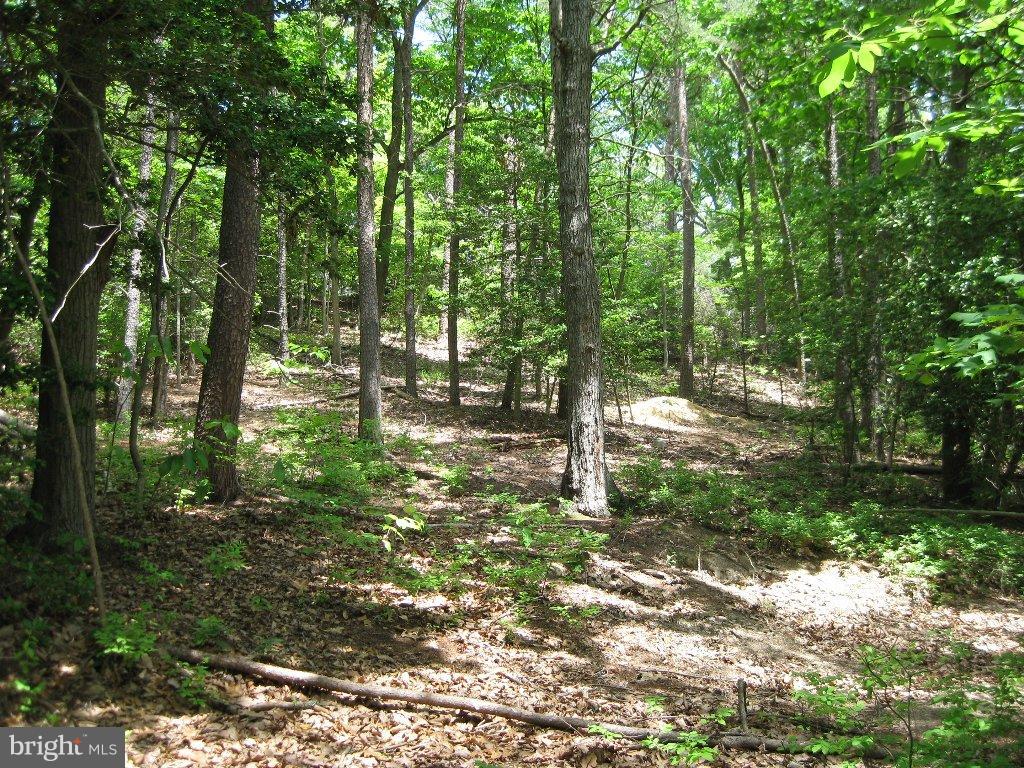 11234 Cove Lake Road Lusby, MD 20657 - Photo 11 of 14 View