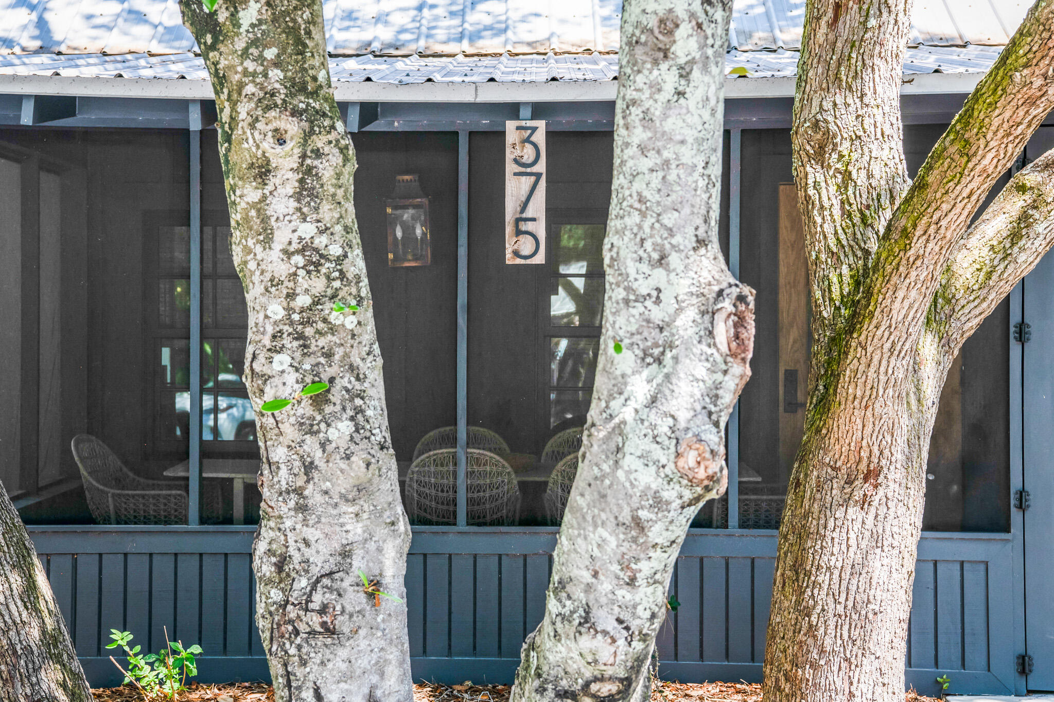 375 Defuniak Street Santa Rosa Beach, FL 32459 - Photo 5 of 94 a front view of a house with a tree
