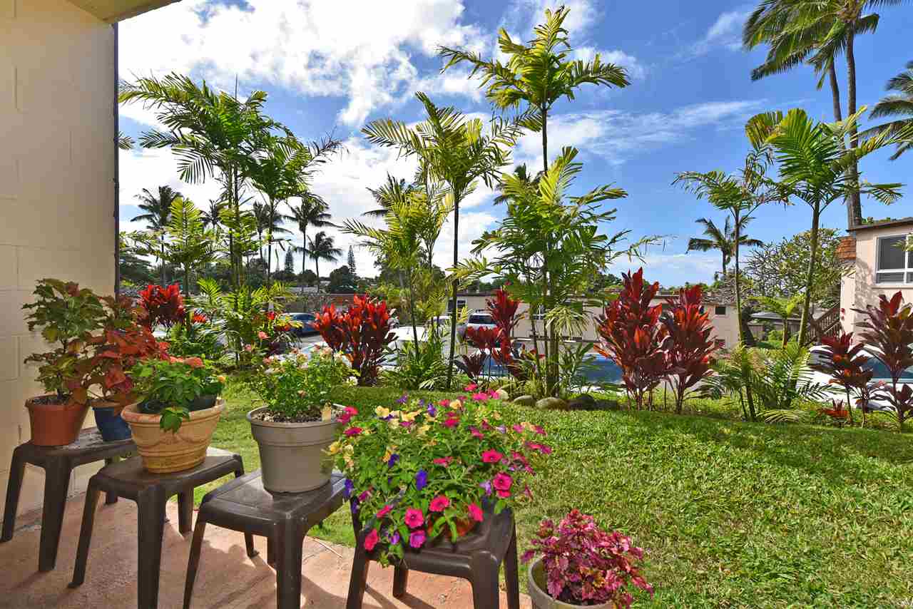120 Hui Rd F, Unit B5 Lahaina, HI 96761 - Photo 18 of 28 a bunch of flowers sitting in a garden