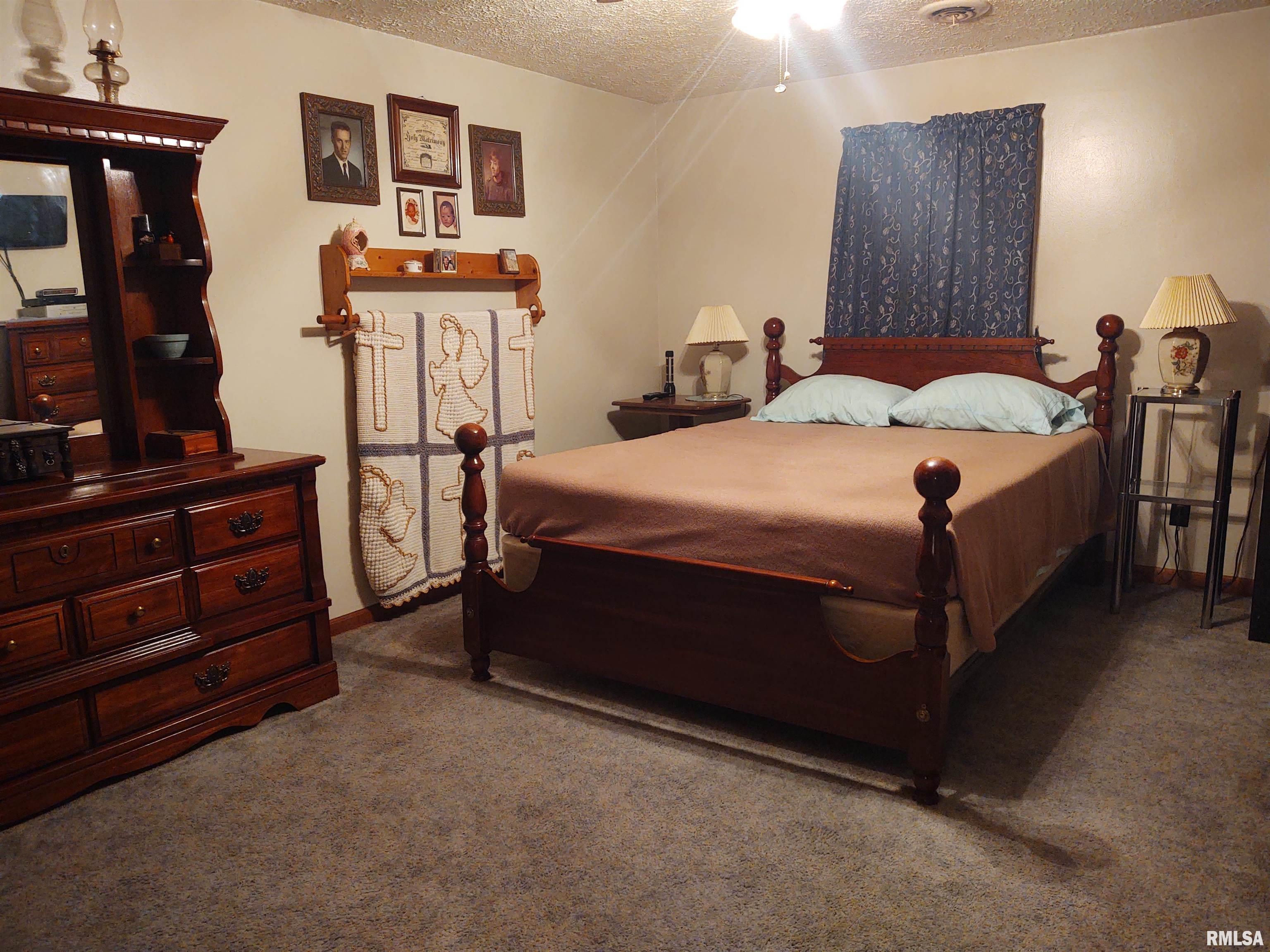 2315 Flatt Woods Road Simpson, IL 62985 - Photo 11 of 23