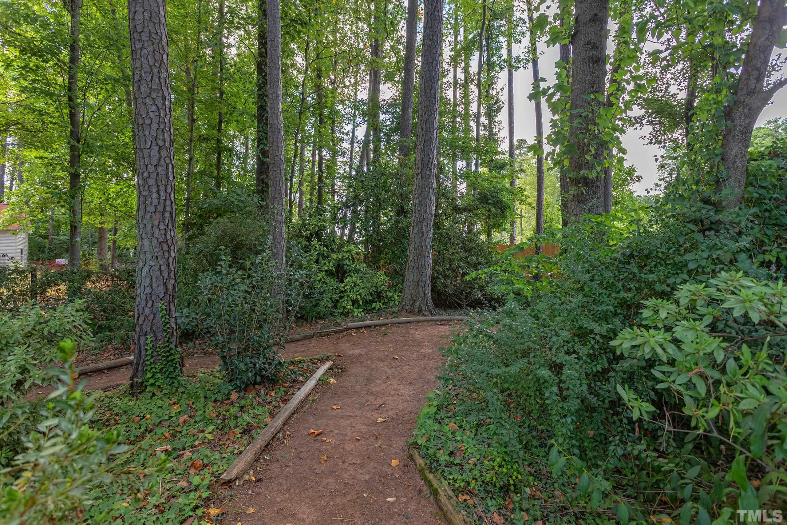2312 Gresham Lake Road Raleigh, NC 27615 - Photo 37 of 46 a view of a garden with trees