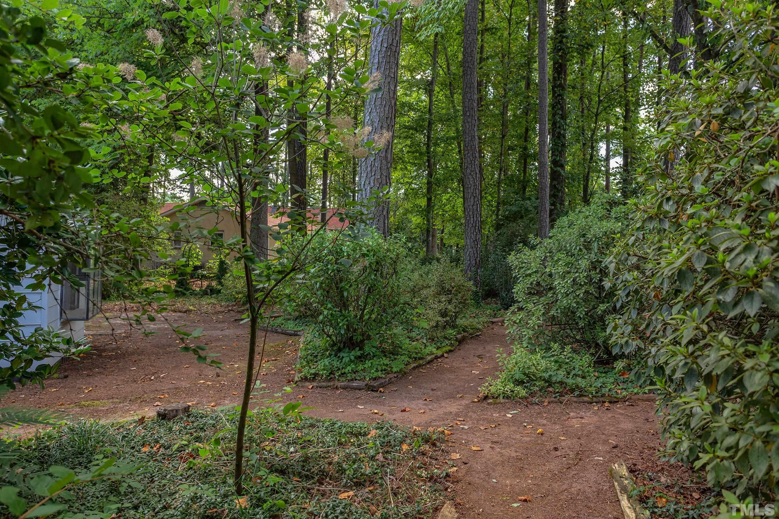 2312 Gresham Lake Road Raleigh, NC 27615 - Photo 38 of 46 a view of a forest with trees