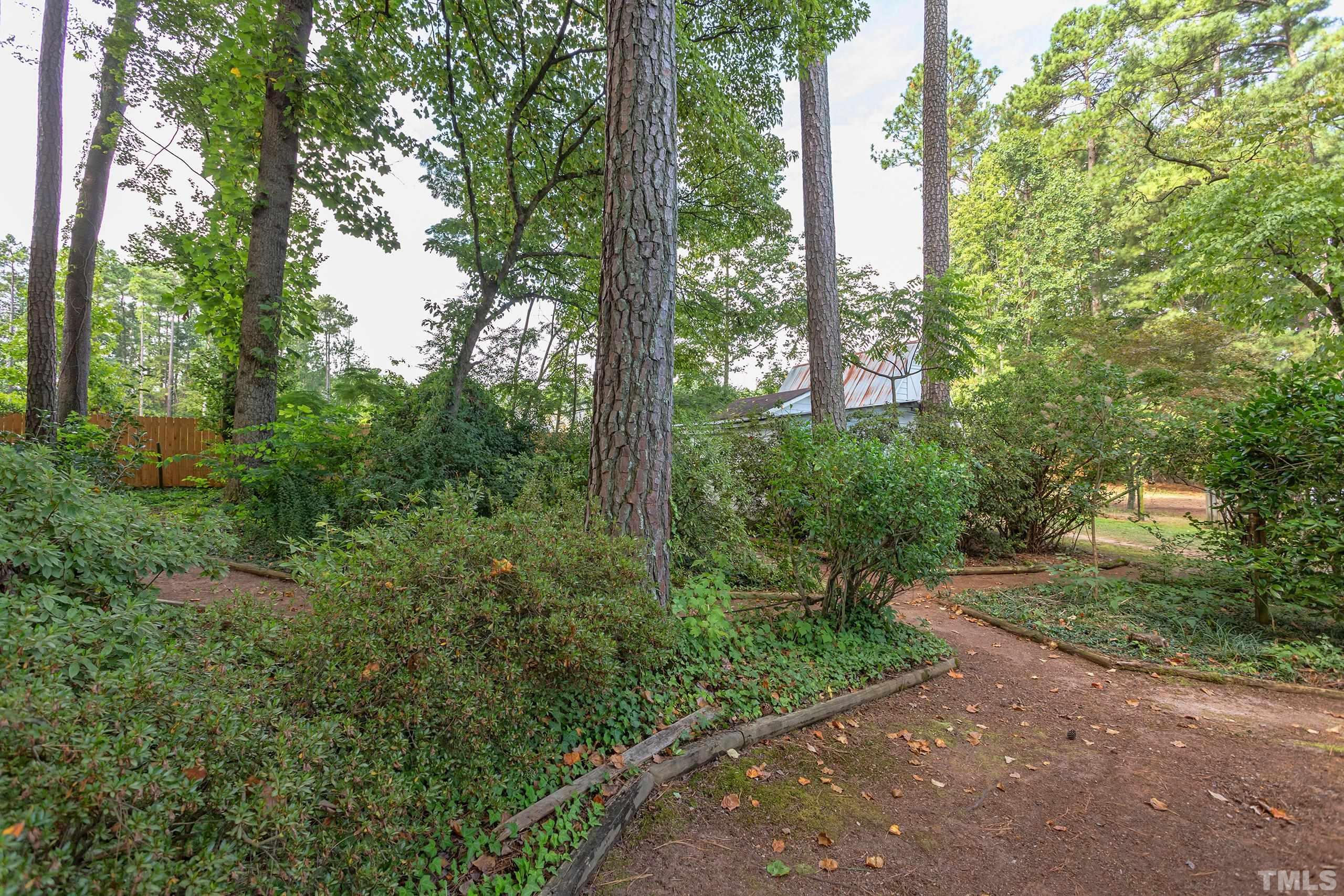 2312 Gresham Lake Road Raleigh, NC 27615 - Photo 39 of 46 a view of a forest with trees