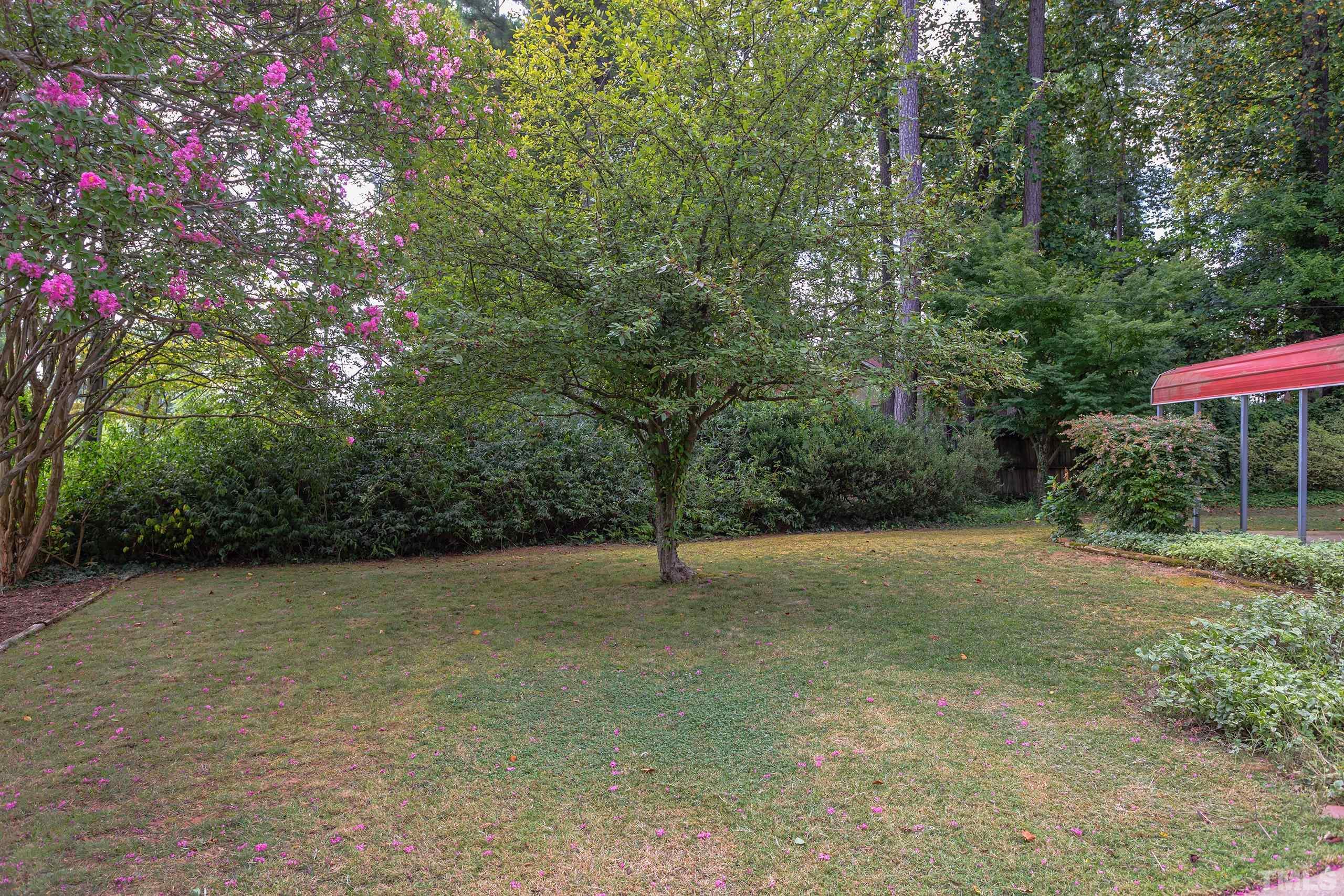 2312 Gresham Lake Road Raleigh, NC 27615 - Photo 45 of 46 a view of a field with a tree