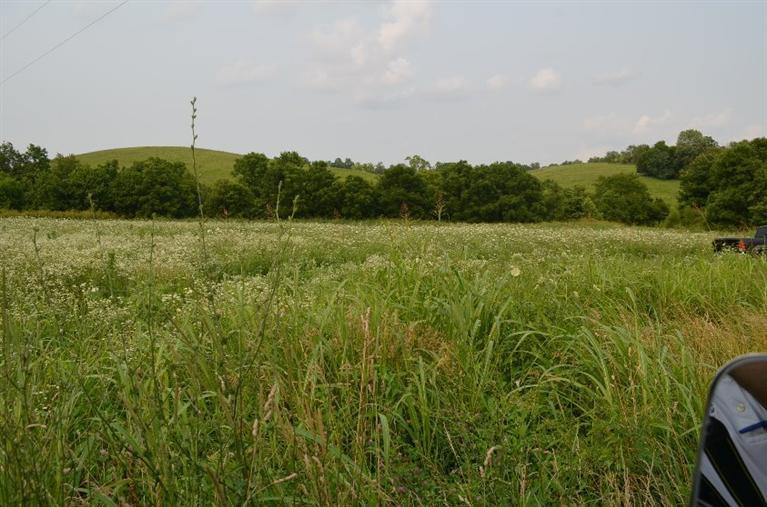 3162 Deep Creek Road Perryville, KY 40468 - Photo 20 of 21 Photo 20