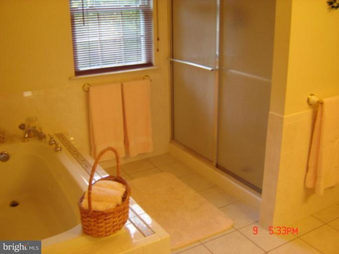 750 Barstow Road Prince Frederick, MD 20678 - Photo 18 of 25 Master basthroom