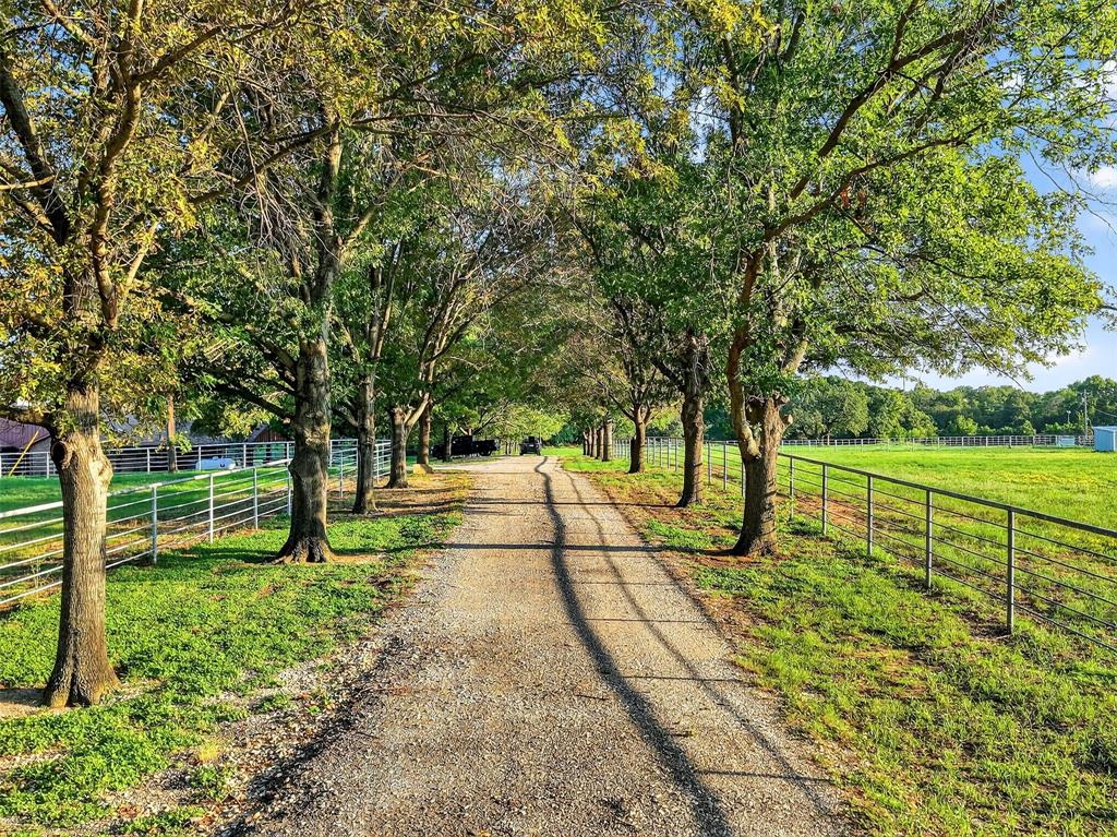 3030 Wager Road Flower Mound, TX 75028 - Photo 33 of 39 a view of yard with green space