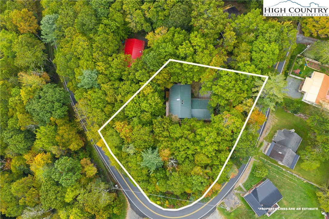547 Deck Hill Road Boone, NC 28607 - Photo 9 of 50